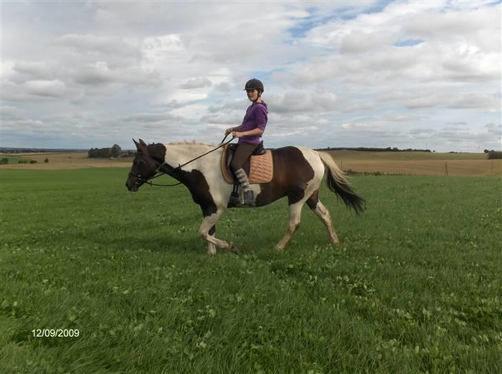 Dyrene - Flere ridebilleder af Plet og Amalie :) billede 38