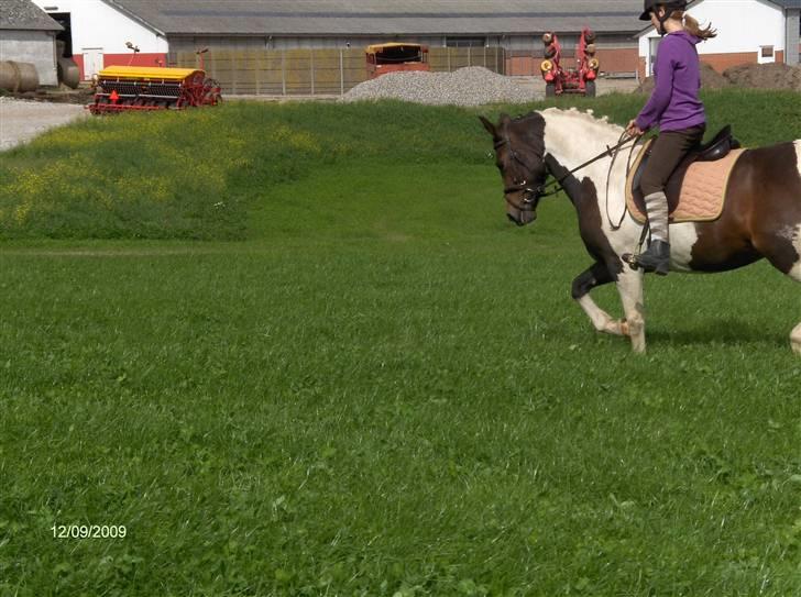 Dyrene - Flere ridebilleder af Plet og Amalie :) billede 39