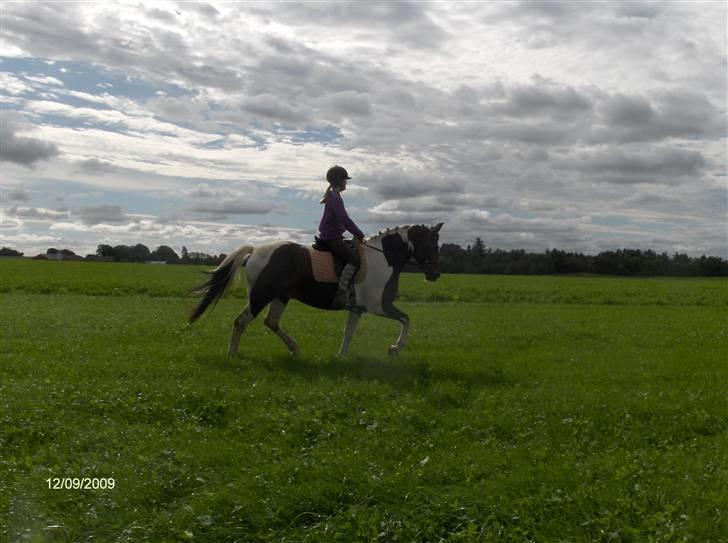 Dyrene - Flere ridebilleder af Plet og Amalie :) billede 40