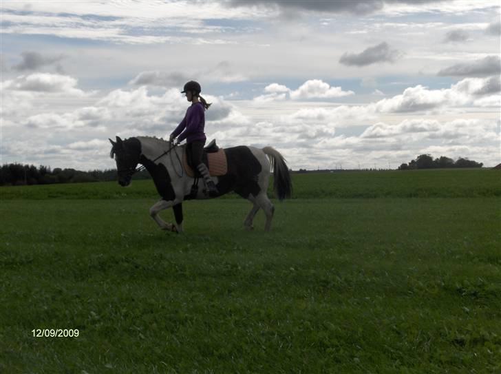 Dyrene - Plet og Amalie :) billede 41