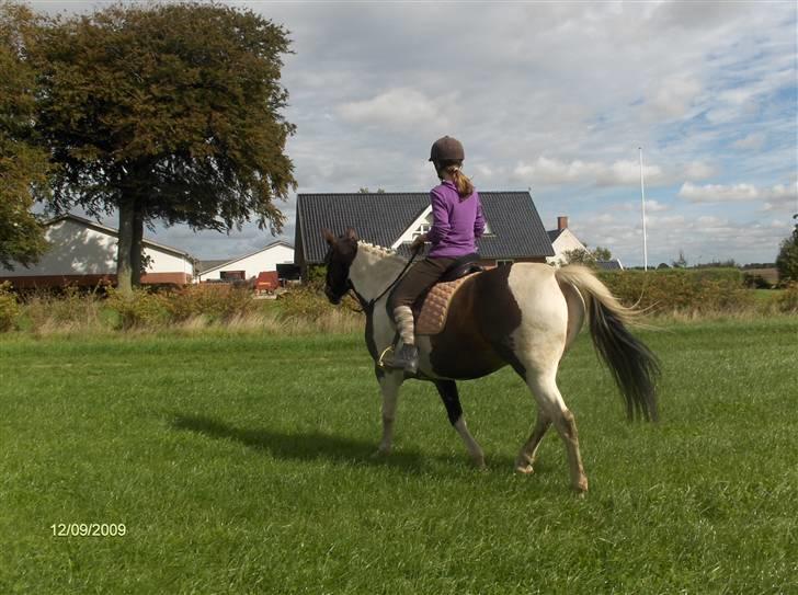 Dyrene - Plet og Amalie :) billede 42