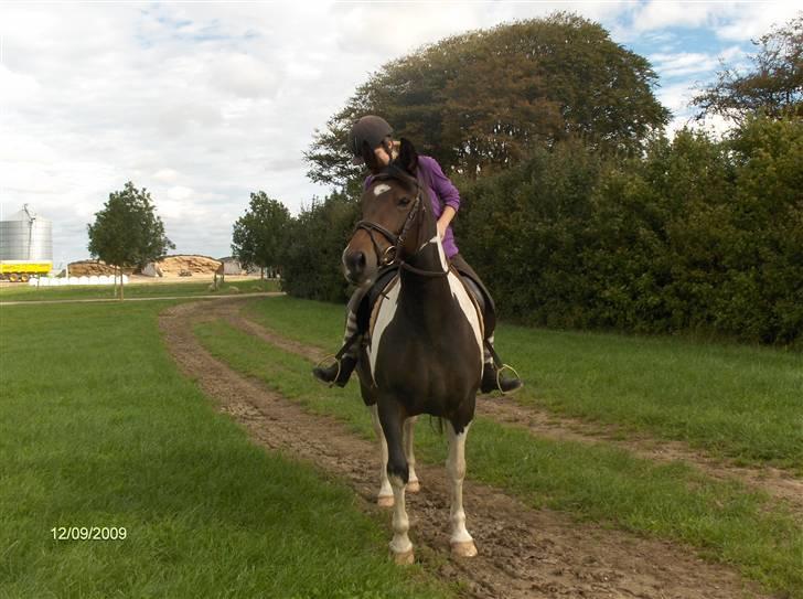 Dyrene - Plet og Amalie :) billede 43