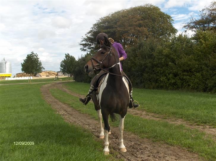 Dyrene - Plet og Amalie :) billede 44