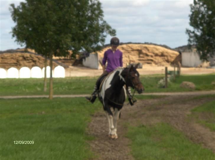 Dyrene - Verdens sødeste Plet :) billede 46