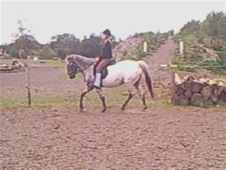 Wendy af nyholm 1. billede 3