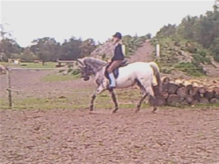 Wendy af nyholm 1. billede 4