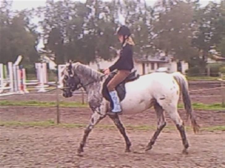 Wendy af nyholm 1. billede 5