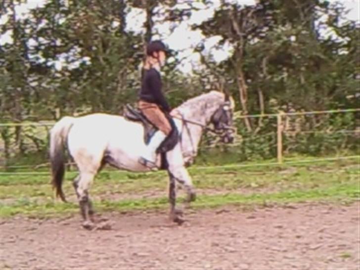 Wendy af nyholm 1. billede 6