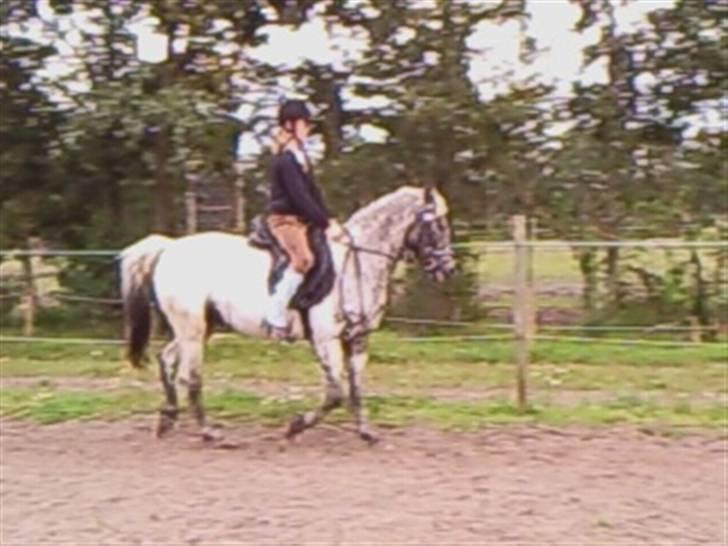 Wendy af nyholm 1. billede 7