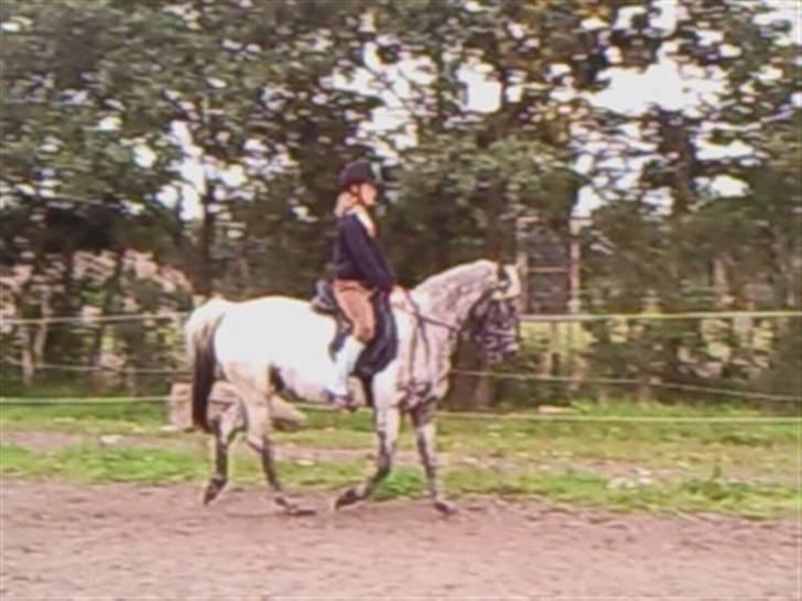 Wendy af nyholm 1. billede 8