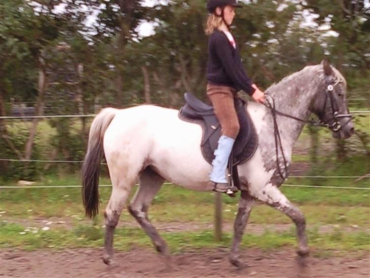 Wendy af nyholm 1. billede 9