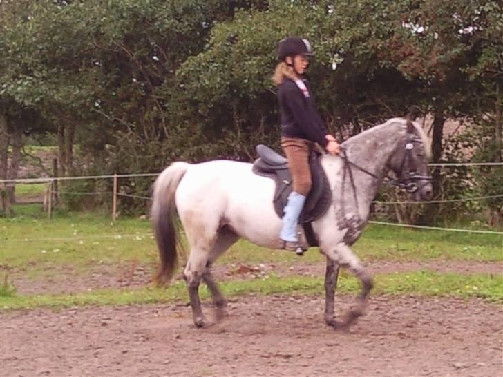 Wendy af nyholm 1. billede 10