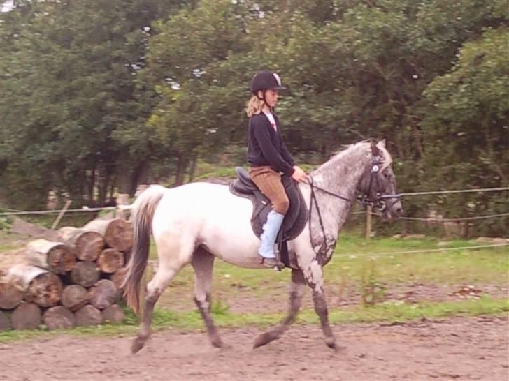 Wendy af nyholm 1. billede 11