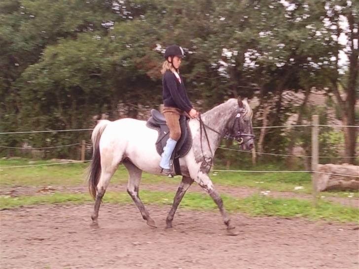 Wendy af nyholm 1. billede 12