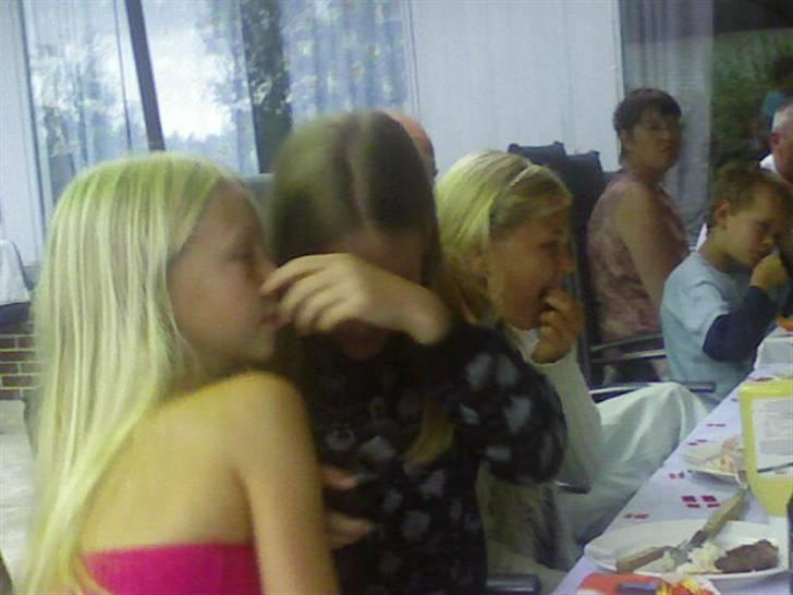 Billeder af mine venner/veninder/nogen jeg holder meget af+mig med nogen:p - Camilla og Annika. De gemmer sig xD de gad ikke at tages billeder af.
Og her er vi så til Martins fødselsdag:) billede 15