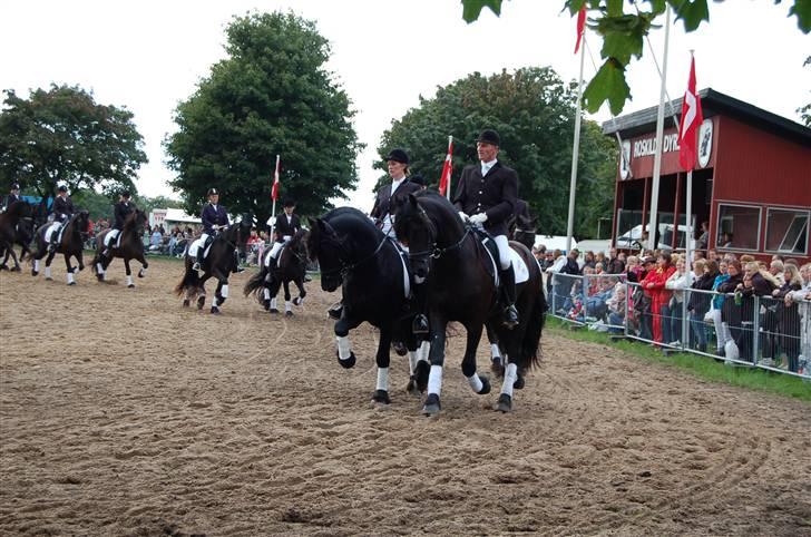 Frieser show på Store Hestedag billede 1