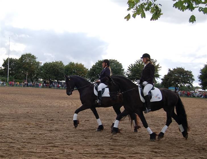 Frieser show på Store Hestedag billede 2
