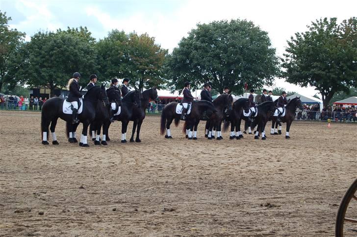 Frieser show på Store Hestedag billede 3