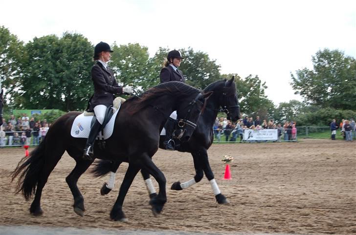 Frieser show på Store Hestedag billede 4