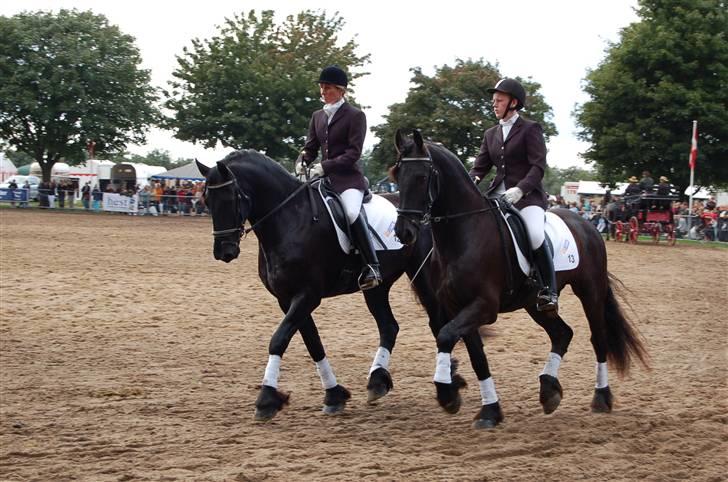 Frieser show på Store Hestedag billede 5