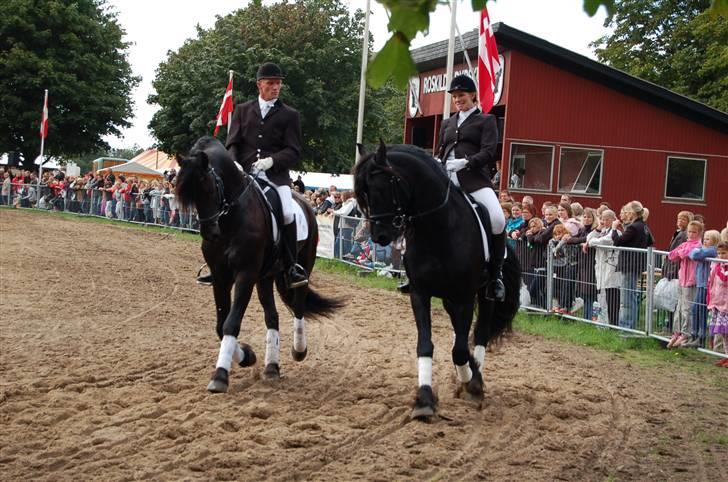 Frieser show på Store Hestedag billede 6