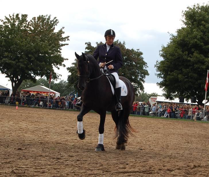 Frieser show på Store Hestedag billede 7