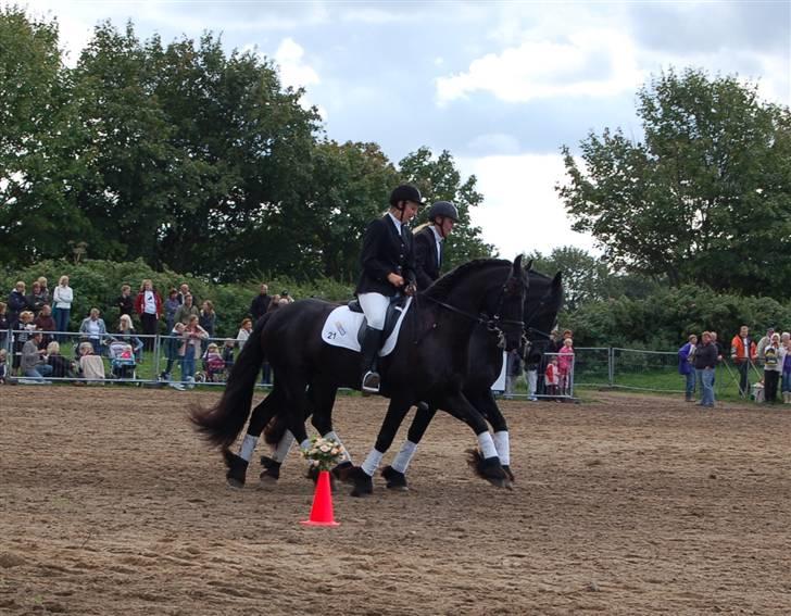 Frieser show på Store Hestedag billede 8