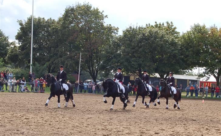 Frieser show på Store Hestedag billede 9
