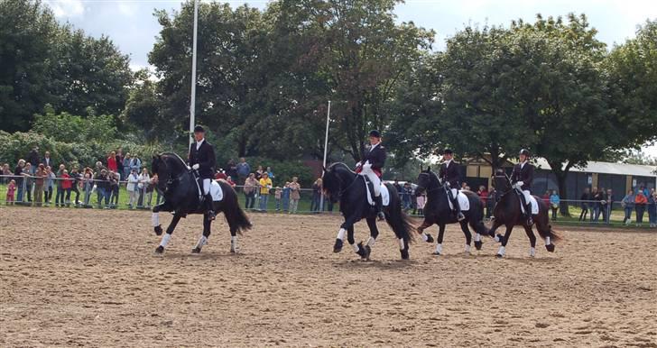 Frieser show på Store Hestedag billede 10
