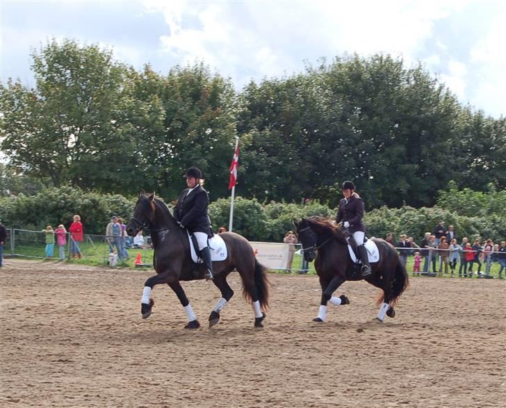 Frieser show på Store Hestedag billede 11
