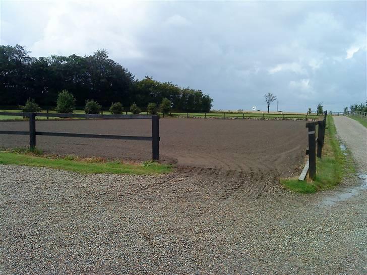 Her rider jeg Riisgaard sportsrideklub - Udendørs bane, bliver harvet ca. 1-2 gange om ugen. billede 2