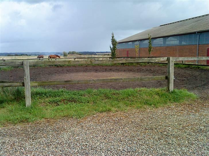 Her rider jeg Riisgaard sportsrideklub - Longering. billede 3