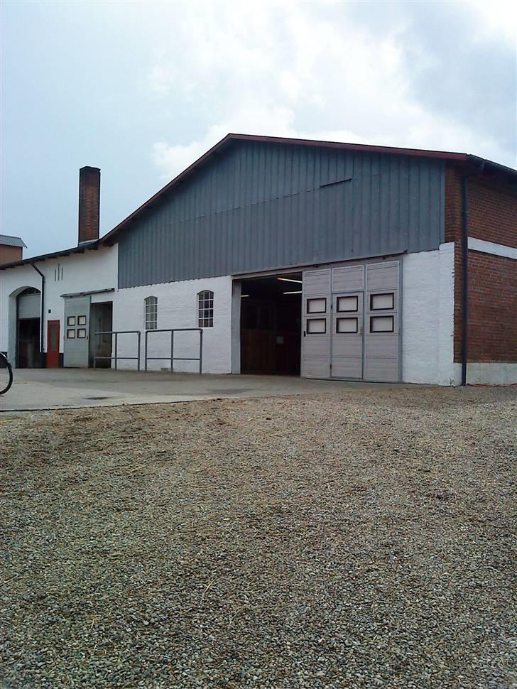 Her rider jeg Riisgaard sportsrideklub - Stalden. billede 7