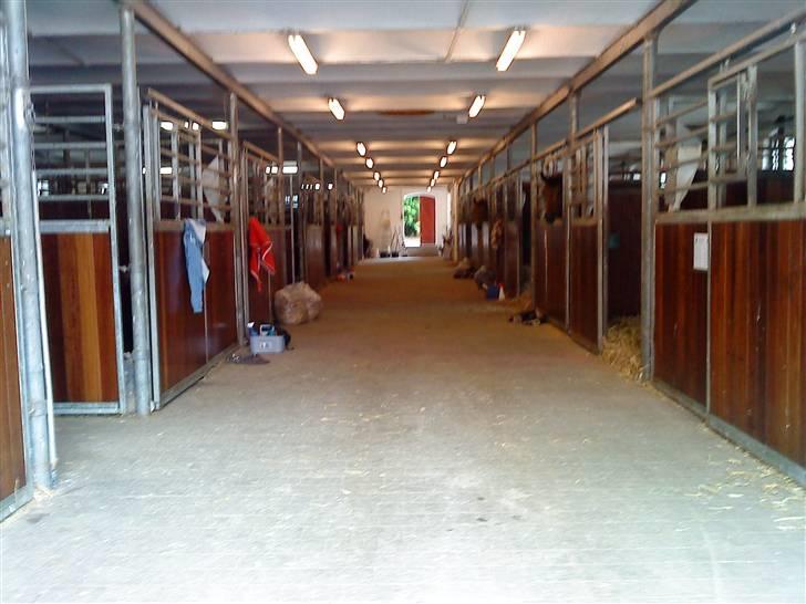 Her rider jeg Riisgaard sportsrideklub - Stalden set indefra. billede 8