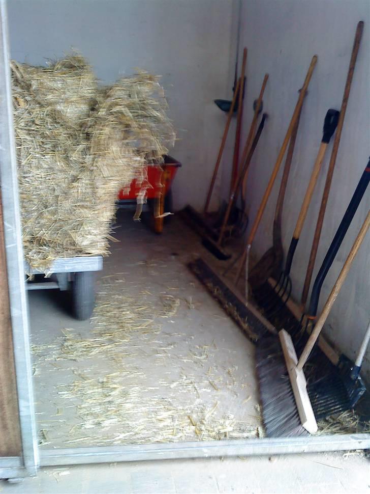 Her rider jeg Riisgaard sportsrideklub - Koste, skovle, grave, trillebør og halm, Der bliver møget ud hver lørdag og så kan man også selv tage klatter i hverdagen og strø. billede 9