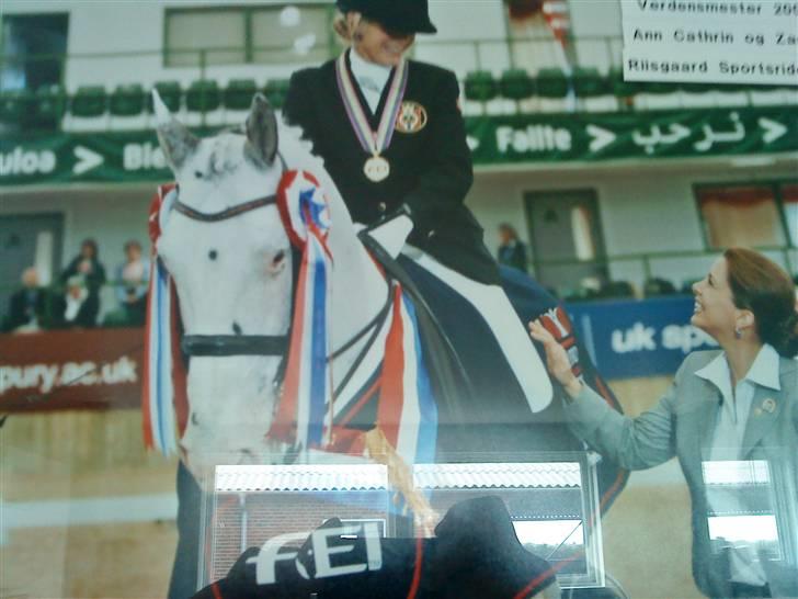 Her rider jeg Riisgaard sportsrideklub - Underviser lige vundet OL. billede 16