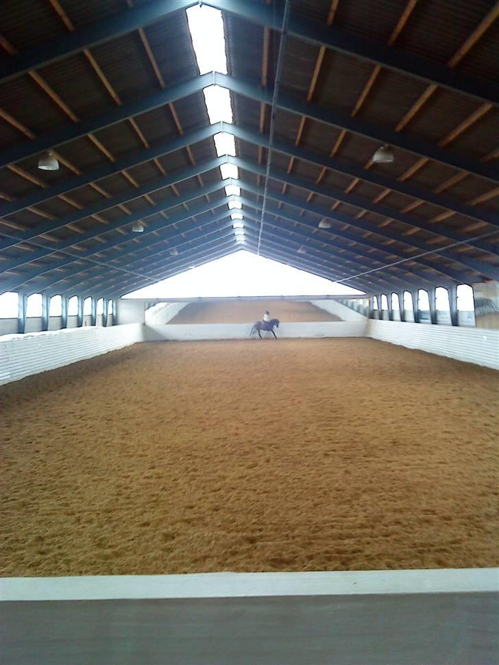Her rider jeg Riisgaard sportsrideklub - Ridehuset ny bund(Bunden blir skiftet ca. hver andet år) billede 17