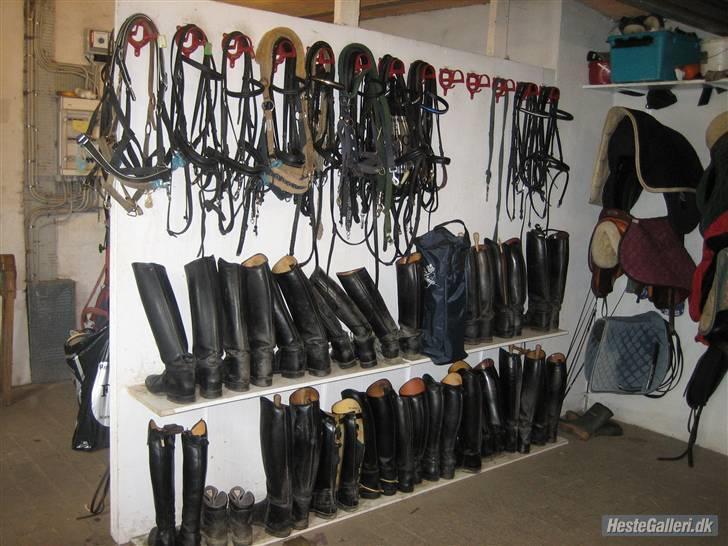 Her rider jeg Riisgaard sportsrideklub - Sadelrum. billede 20