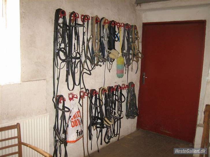Her rider jeg Riisgaard sportsrideklub - Sadelrum. billede 21