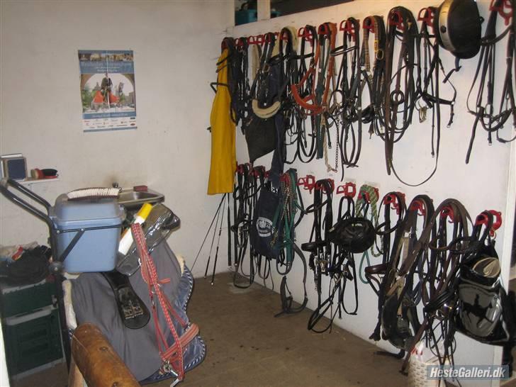 Her rider jeg Riisgaard sportsrideklub - Sadelrum. billede 22
