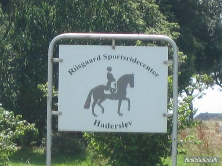 Her rider jeg Riisgaard sportsrideklub - RISK's skilt. billede 24