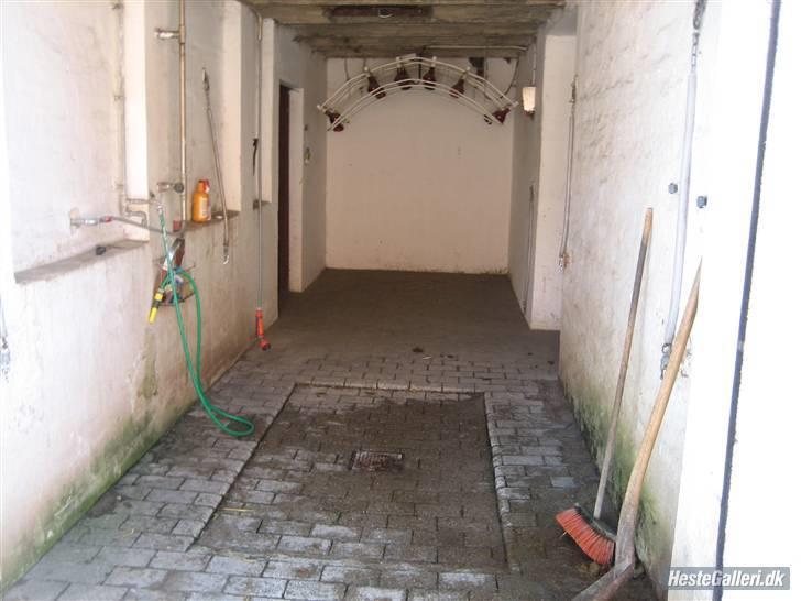 Her rider jeg Riisgaard sportsrideklub - Vandspildtov. billede 5