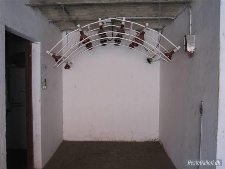 Her rider jeg Riisgaard sportsrideklub - Varmelampe. billede 6