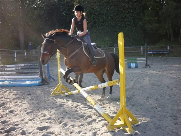 Springundervisning på Gøngehusfarmen d. 17/9 2009 billede 1