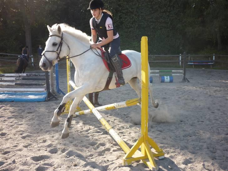 Springundervisning på Gøngehusfarmen d. 17/9 2009 billede 2