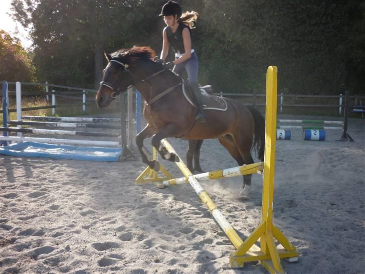 Springundervisning på Gøngehusfarmen d. 17/9 2009 billede 3