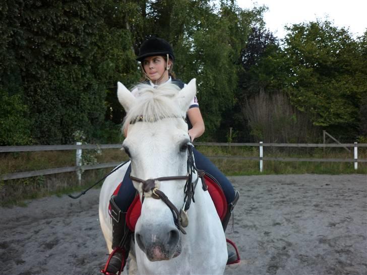 Springundervisning på Gøngehusfarmen d. 17/9 2009 billede 4