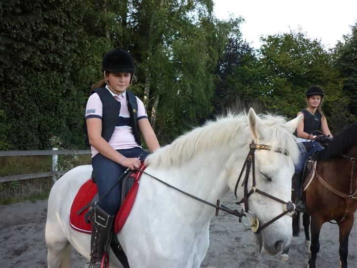 Springundervisning på Gøngehusfarmen d. 17/9 2009 billede 5