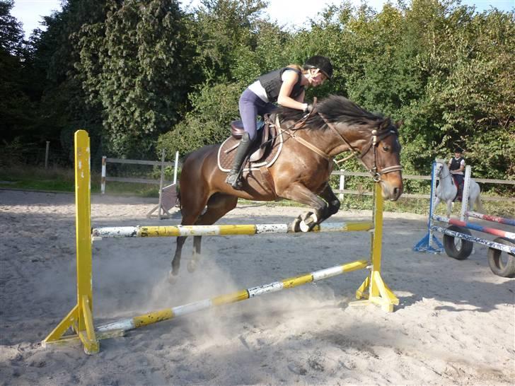 Springundervisning på Gøngehusfarmen d. 17/9 2009 billede 6