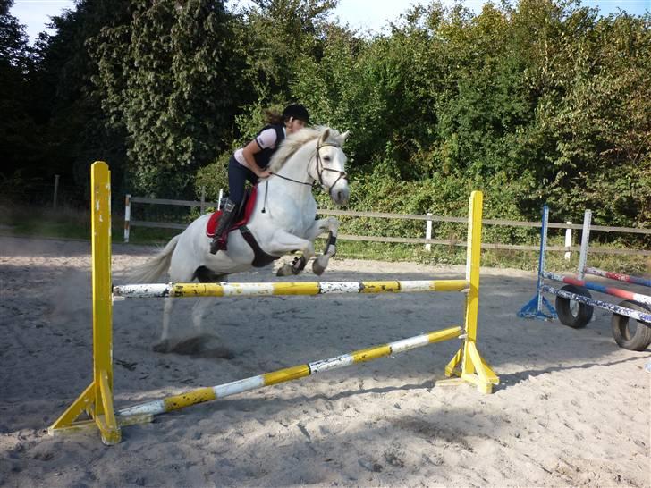 Springundervisning på Gøngehusfarmen d. 17/9 2009 billede 7